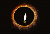 IIP Online Student Photography